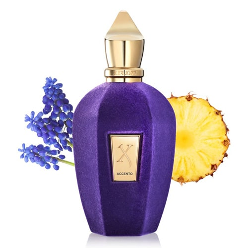 Xerjoff Accento EDP 100 ML