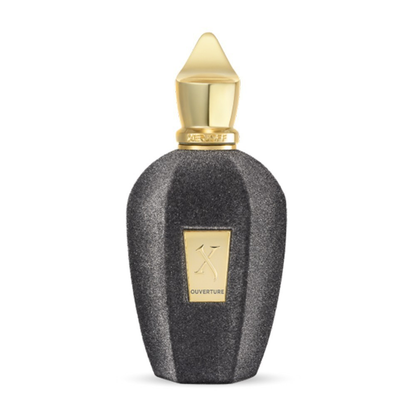 Xerjoff Ouverture EDP 100 ML